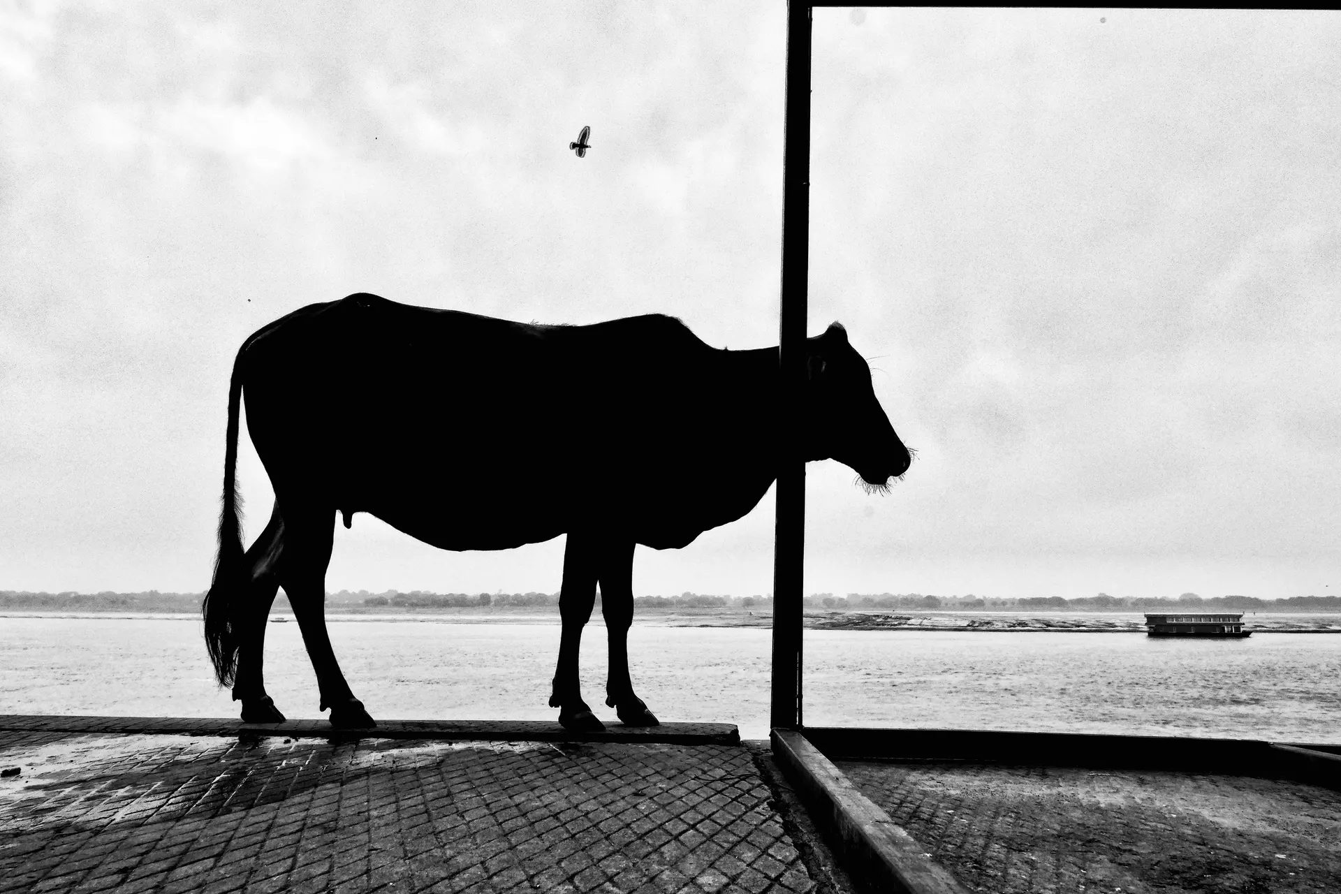 Street Photography Black & White 4